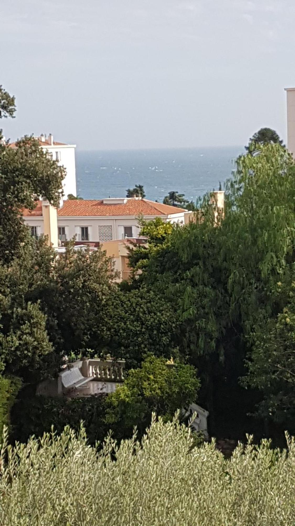 Les Palmiers A 700M De La Mer Nice Oda fotoğraf