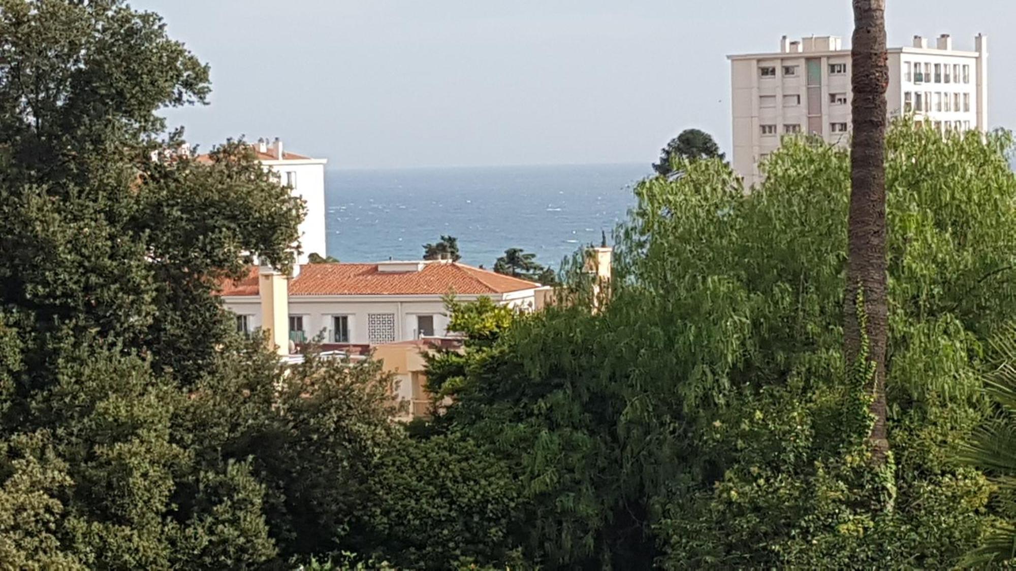 Les Palmiers A 700M De La Mer Nice Oda fotoğraf