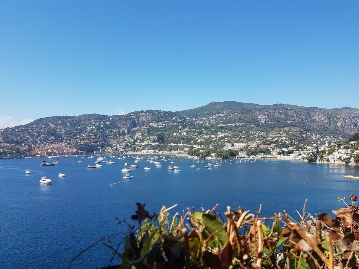 Les Palmiers A 700M De La Mer Nice Dış mekan fotoğraf