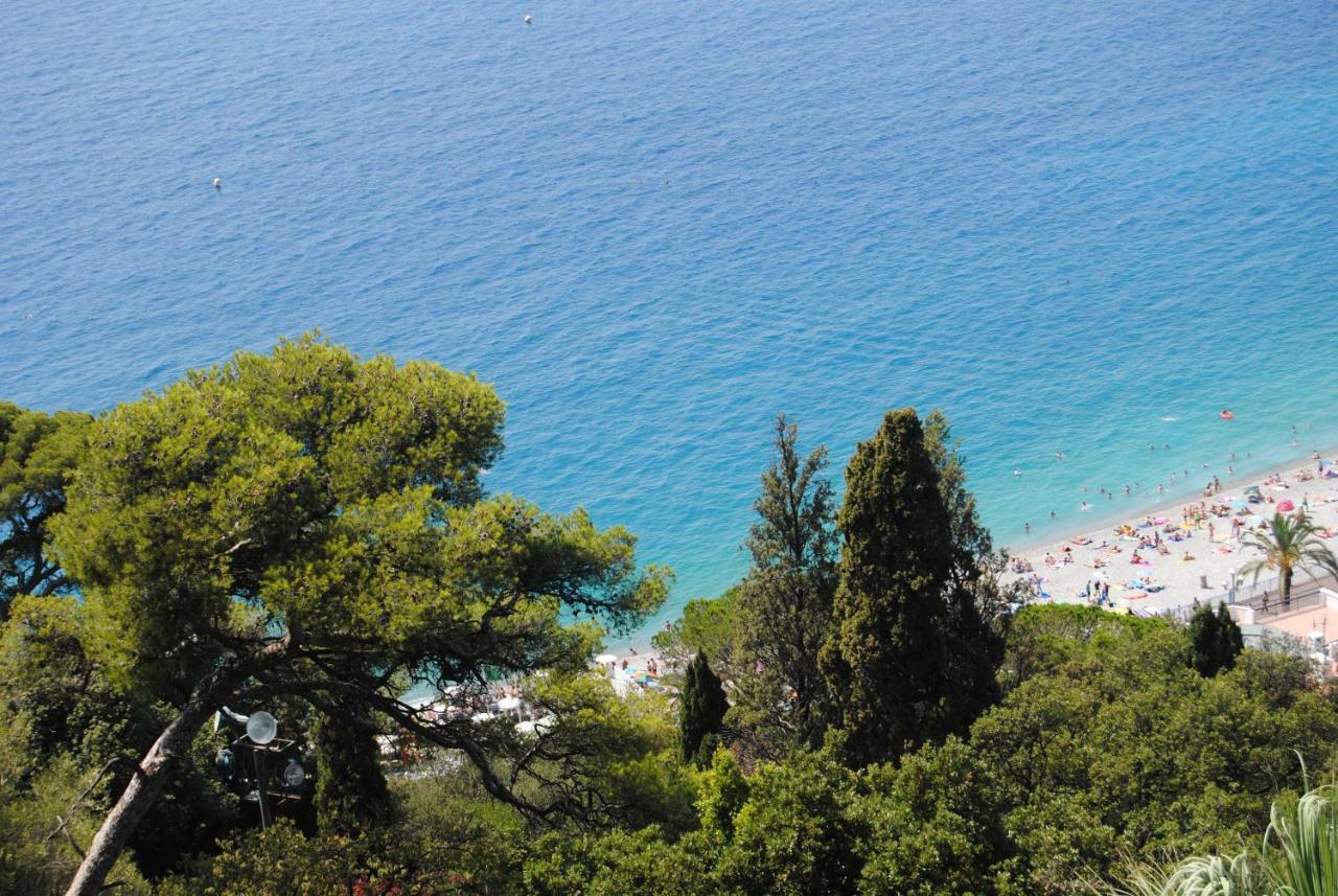 Les Palmiers A 700M De La Mer Nice Dış mekan fotoğraf