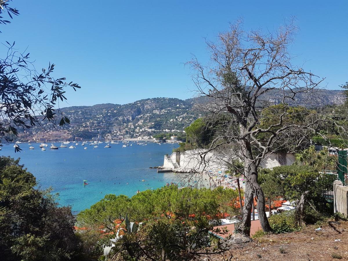 Les Palmiers A 700M De La Mer Nice Dış mekan fotoğraf