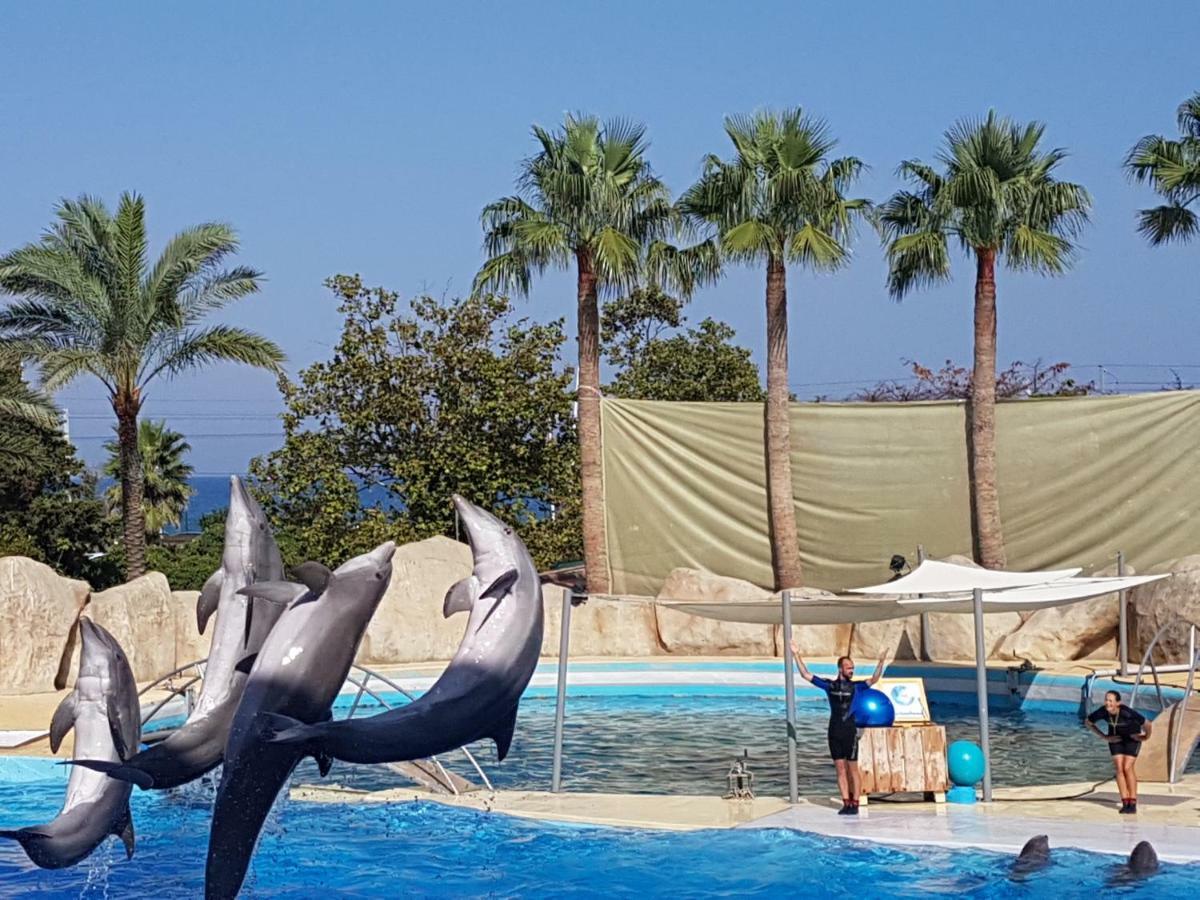 Les Palmiers A 700M De La Mer Nice Dış mekan fotoğraf