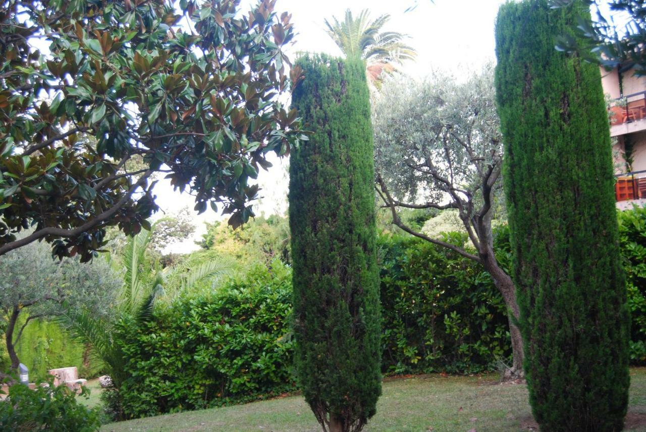 Les Palmiers A 700M De La Mer Nice Dış mekan fotoğraf